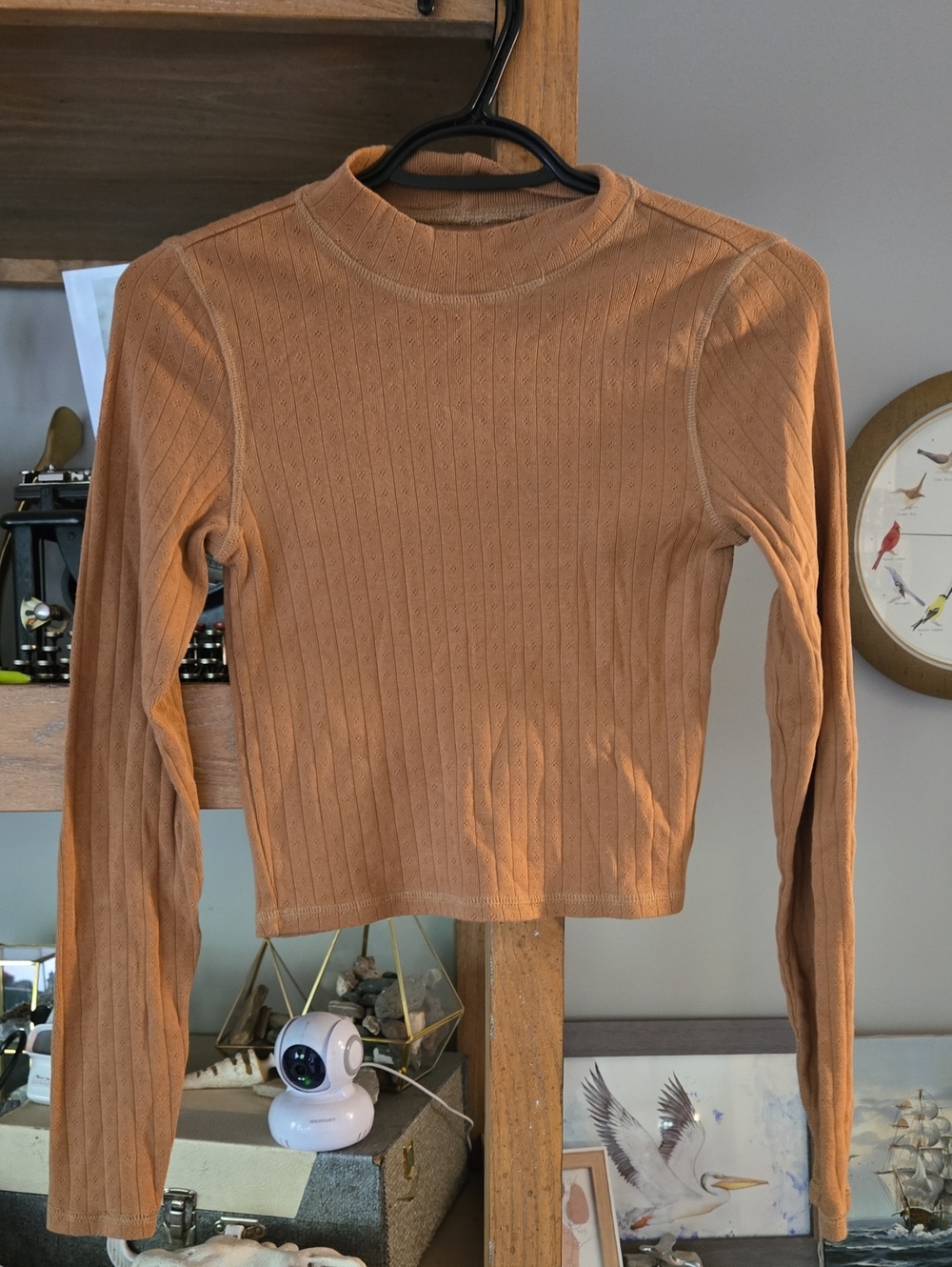 American Eagle Outfitters Ribbed Mock Neck Long-Sleeve Top — Camel Tan